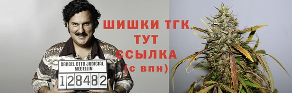 ешки Ладушкин