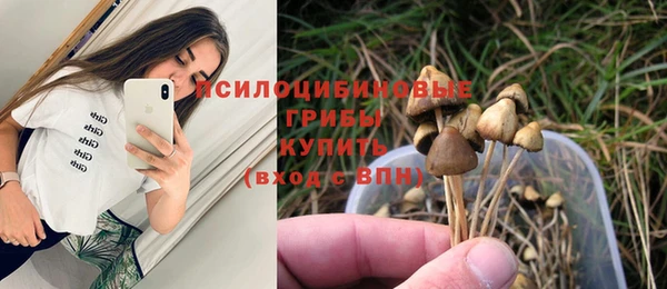 ECSTASY Балабаново